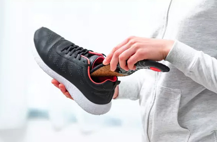 ¿Cuáles son las plantillas comunes en el mercado?