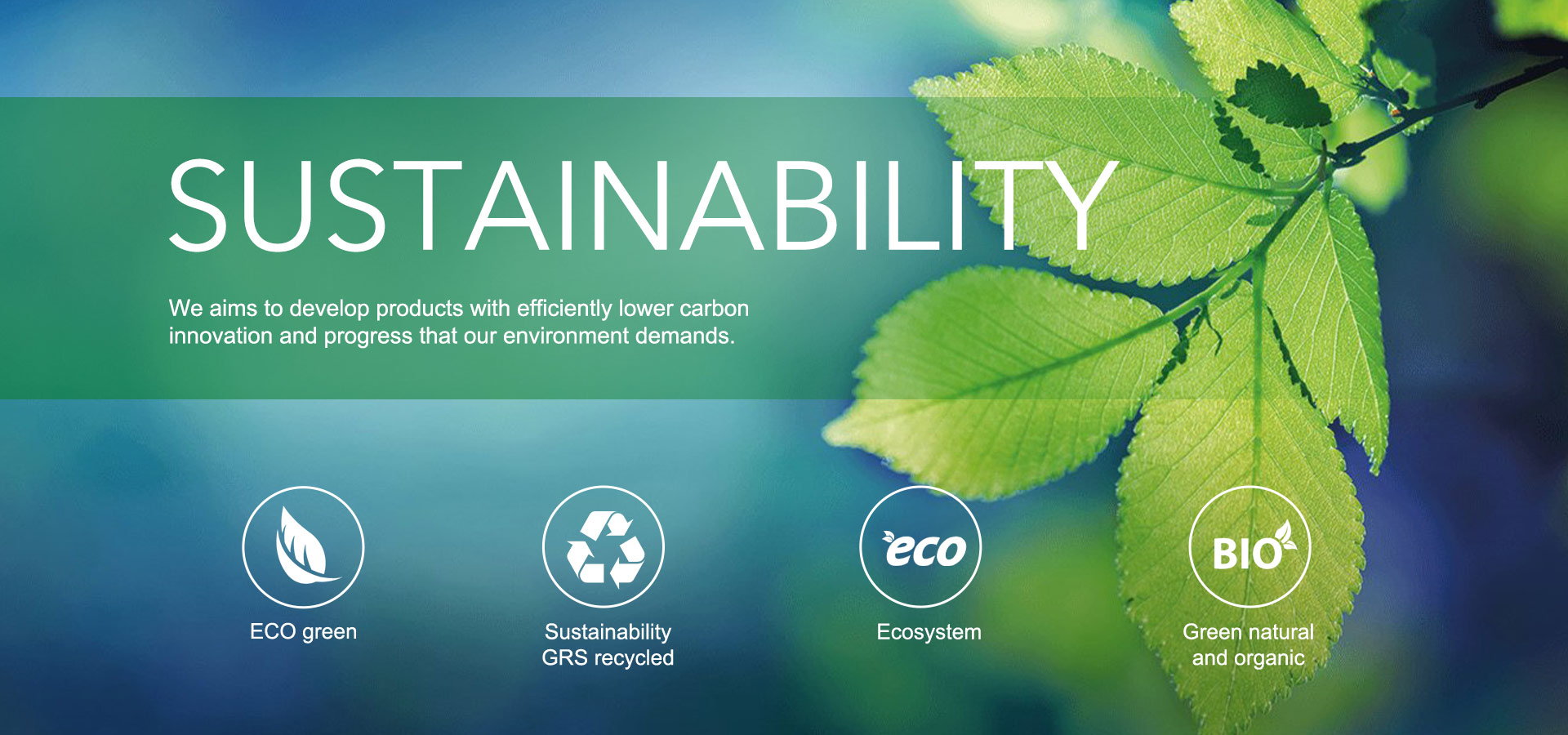 insole manufacturer china